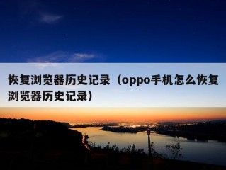 恢复浏览器历史记录（oppo手机怎么恢复浏览器历史记录）