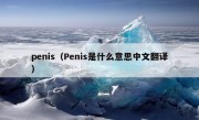 penis（Penis是什么意思中文翻译）