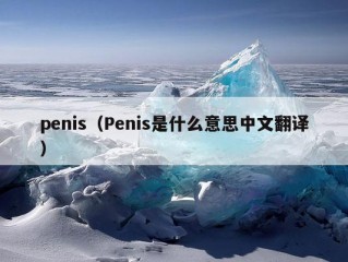 penis（Penis是什么意思中文翻译）