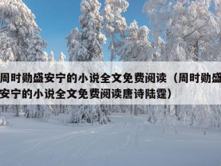 周时勋盛安宁的小说全文免费阅读（周时勋盛安宁的小说全文免费阅读唐诗陆霆）