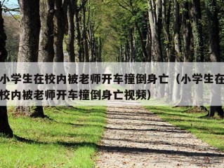 小学生在校内被老师开车撞倒身亡（小学生在校内被老师开车撞倒身亡视频）