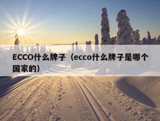 ECCO什么牌子（ecco什么牌子是哪个国家的）