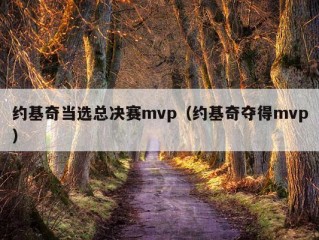 约基奇当选总决赛mvp（约基奇夺得mvp）