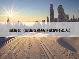 周海兵（周海兵是杨正武的什么人）