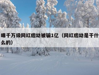 曝千万级网红痞幼被骗1亿（网红痞幼是干什么的）