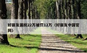 好丽友漏税22万被罚12万（好丽友中国官网）