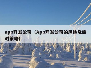 app开发公司（App开发公司的风险及应对策略）