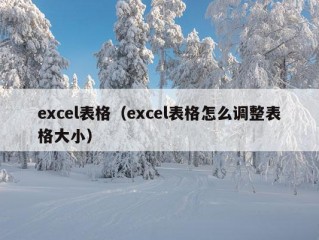 excel表格（excel表格怎么调整表格大小）