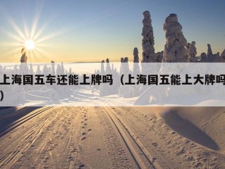 上海国五车还能上牌吗（上海国五能上大牌吗）