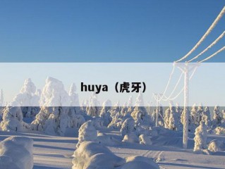 huya（虎牙）