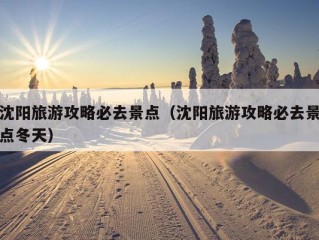 沈阳旅游攻略必去景点（沈阳旅游攻略必去景点冬天）