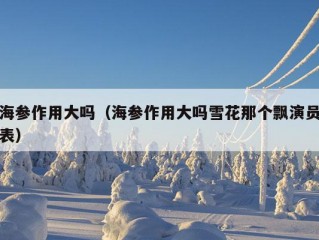 海参作用大吗（海参作用大吗雪花那个飘演员表）