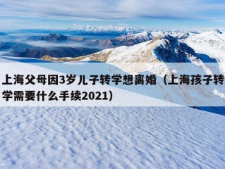 上海父母因3岁儿子转学想离婚（上海孩子转学需要什么手续2021）