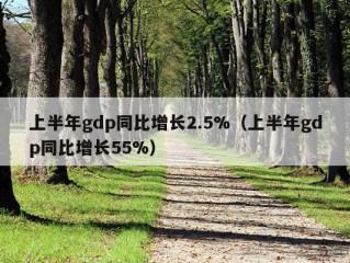 上半年gdp同比增长2.5%（上半年gdp同比增长55%）