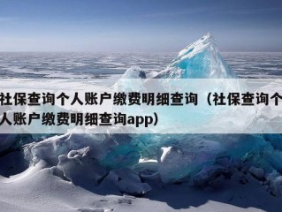 社保查询个人账户缴费明细查询（社保查询个人账户缴费明细查询app）