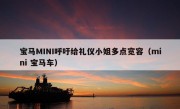 宝马MINI呼吁给礼仪小姐多点宽容（mini 宝马车）