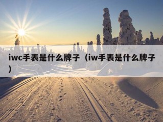 iwc手表是什么牌子（iw手表是什么牌子）