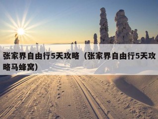 张家界自由行5天攻略（张家界自由行5天攻略马蜂窝）