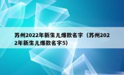 苏州2022年新生儿爆款名字（苏州2022年新生儿爆款名字5）