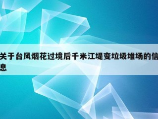 关于台风烟花过境后千米江堤变垃圾堆场的信息