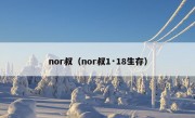 nor叔（nor叔1·18生存）