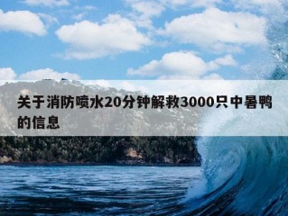 关于消防喷水20分钟解救3000只中暑鸭的信息