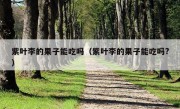 紫叶李的果子能吃吗（紫叶李的果子能吃吗?）