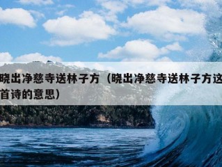 晓出净慈寺送林子方（晓出净慈寺送林子方这首诗的意思）