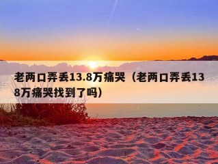 老两口弄丢13.8万痛哭（老两口弄丢138万痛哭找到了吗）