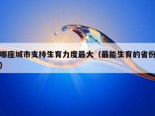 哪座城市支持生育力度最大（最能生育的省份）