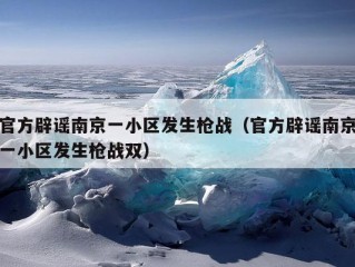 官方辟谣南京一小区发生枪战（官方辟谣南京一小区发生枪战双）