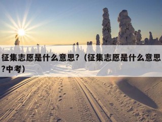 征集志愿是什么意思?（征集志愿是什么意思?中考）