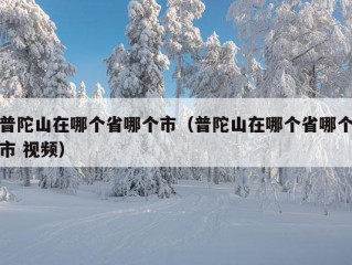 普陀山在哪个省哪个市（普陀山在哪个省哪个市 视频）