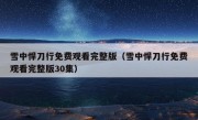 雪中悍刀行免费观看完整版（雪中悍刀行免费观看完整版30集）