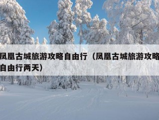 凤凰古城旅游攻略自由行（凤凰古城旅游攻略自由行两天）