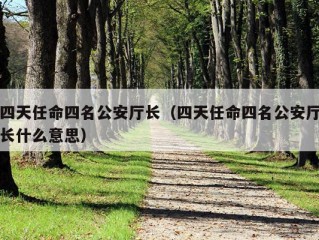 四天任命四名公安厅长（四天任命四名公安厅长什么意思）