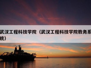 武汉工程科技学院（武汉工程科技学院教务系统）