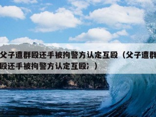 父子遭群殴还手被拘警方认定互殴（父子遭群殴还手被拘警方认定互殴冫）