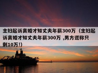 主妇起诉离婚才知丈夫年薪300万（主妇起诉离婚才知丈夫年薪300万 ,男方谎称只剩10万!）