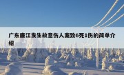 广东廉江发生故意伤人案致6死1伤的简单介绍