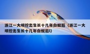 浙江一大坝挖出生长十几年白蚁后（浙江一大坝挖出生长十几年白蚁后l）