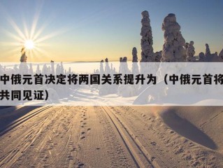 中俄元首决定将两国关系提升为（中俄元首将共同见证）