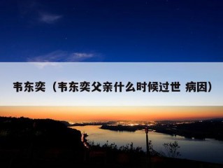 韦东奕（韦东奕父亲什么时候过世 病因）