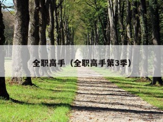 全职高手（全职高手第3季）