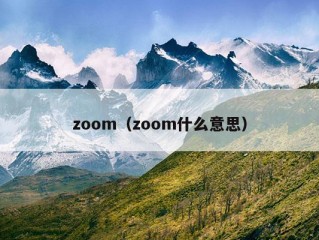 zoom（zoom什么意思）