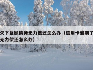 欠下巨额债务无力偿还怎么办（信用卡逾期了无力偿还怎么办）