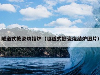 隧道式搪瓷烧结炉（隧道式搪瓷烧结炉图片）