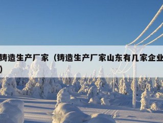 铸造生产厂家（铸造生产厂家山东有几家企业）