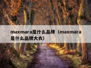 maxmara是什么品牌（maxmara是什么品牌大衣）