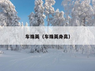 车珠英（车珠英身高）